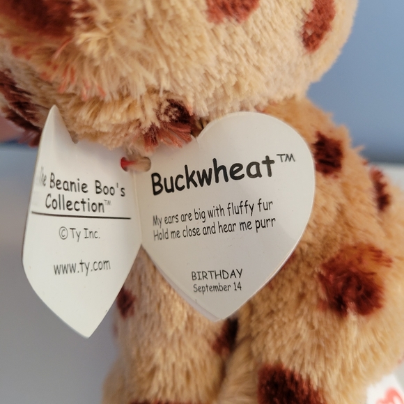 The Beanie Boo's Collection Set of 4 Unicorn Owl Cat Monkey 2015 2016 TY Beanies - Picture 14 of 16